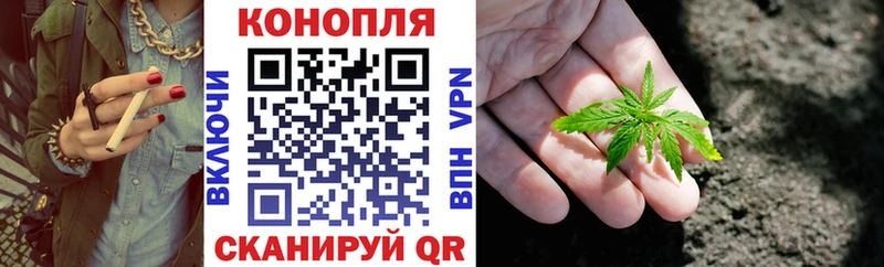 МЕГА маркетплейс  Шагонар  Бошки марихуана планчик  цена наркотик 